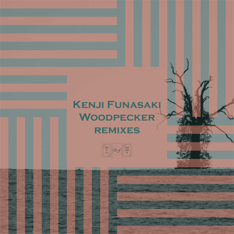 Woodpecker - Remixes